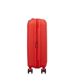 Transavia Trolleys|Ryanair Trolleys><noscript><img width=