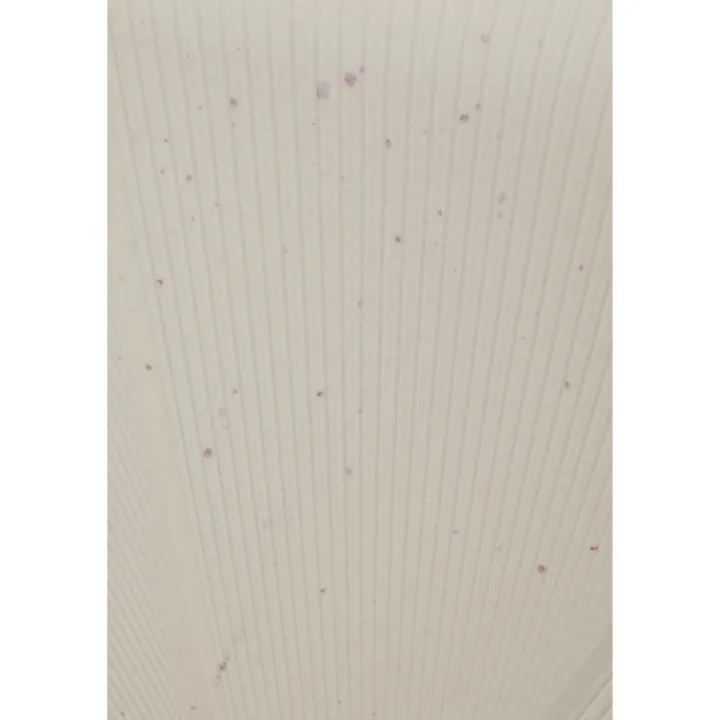 Reistrolleys|Reiskoffers>American Tourister Starvibe Spinner 67/24 Expandable TSA Ltd cream speckles