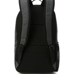 Heren Rugzakken|Schoolrugzak>Dakine Class Backpack 33L carbon