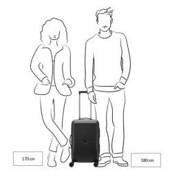 Handbagage Trolleys|Reistrolleys>Delsey Turenne 2.0 Cabin Trolley S 55/35 dark green