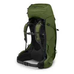 Grote Rugzakken|Trekking Rugzakken>Osprey Aether 65 Backpack L/XL mustard green