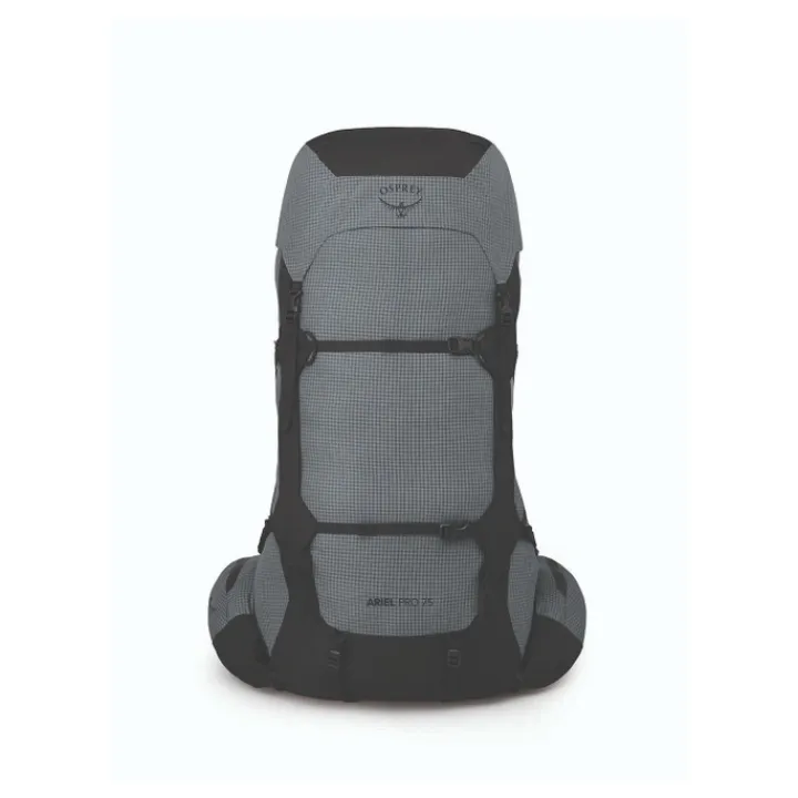 Grote Rugzakken|Trekking Rugzakken>Osprey Aether Pro 75 S/M silver lining