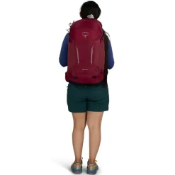 Wandelrugzakken|Hiking Backpacks>Osprey Hikelite 28 M-L chameleon-black