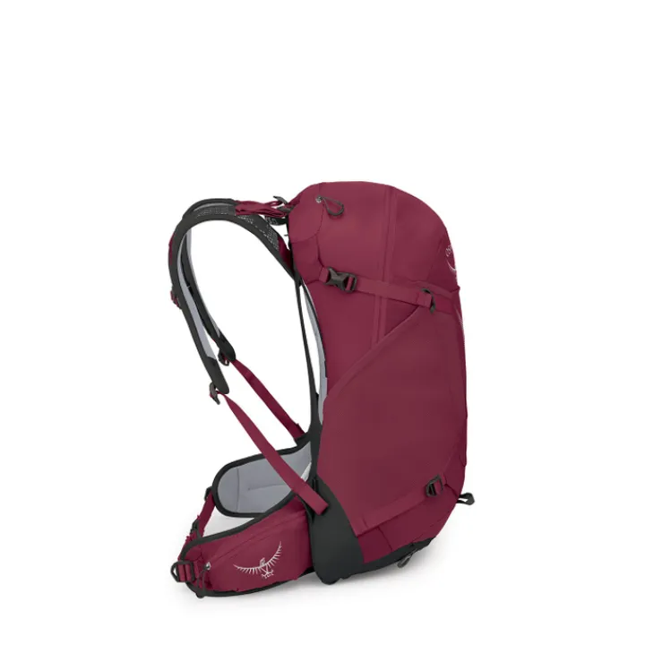 Wandelrugzakken|Hiking Backpacks>Osprey Hikelite 28 M-L chameleon-black