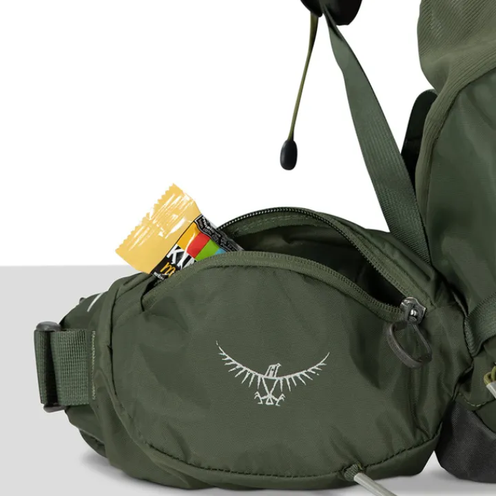 Grote Rugzakken|Trekking Rugzakken>Osprey Kestrel 58 S/M bonsai green