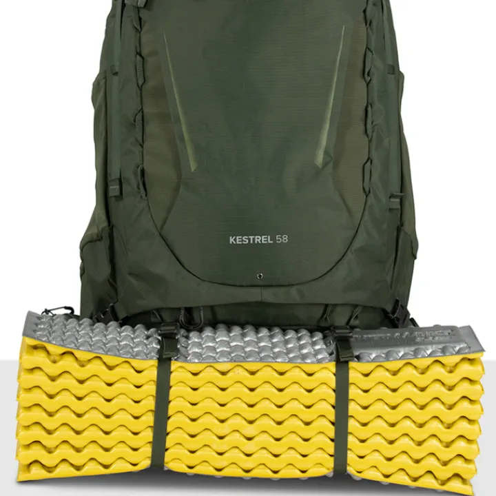 Grote Rugzakken|Trekking Rugzakken>Osprey Kestrel 58 S/M bonsai green
