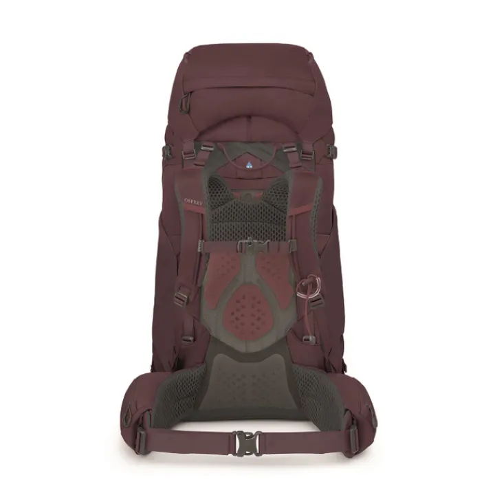 Grote Rugzakken|Trekking Rugzakken>Osprey Kyte 68 WM/L elderberry purple