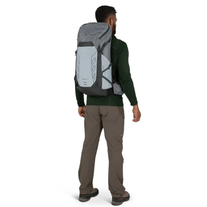 Wandelrugzakken|Hiking Backpacks>Osprey Talon Pro 30 silver lining