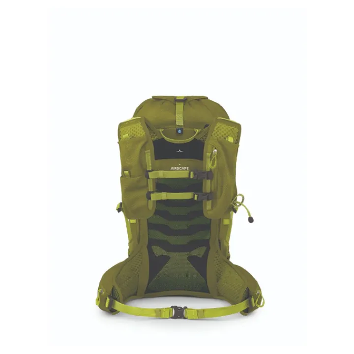 Hiking Backpacks|Heren Rugzakken>Osprey Talon Velocity 30 S/M matcha green/lemongrass