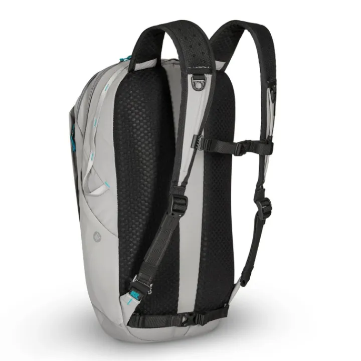 Daypack|Anti Diefstal Rugzakken>Pacsafe Eco 25L Backpack Econyl gravity gray