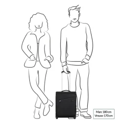 Transavia Trolleys|Handbagage Trolleys>Samsonite Litebeam Upright 45 Underseater climbing ivy