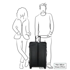 Reistrolleys|Reiskoffers>Samsonite Lite-Box Alu Spinner 76 aluminium
