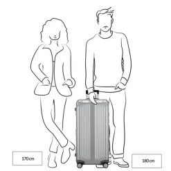 Reistrolleys|Reiskoffers>Samsonite Lite-Box Alu Trunk 80 aluminium