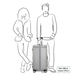 Reistrolleys|Reiskoffers>Samsonite Lite-Box Alu Trunk 74 aluminium