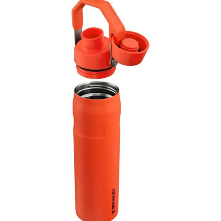 Thermosflessen>Stanley The Aerolight IceFlow Water Bottle Fast Flow 0.6L tigerlily plum