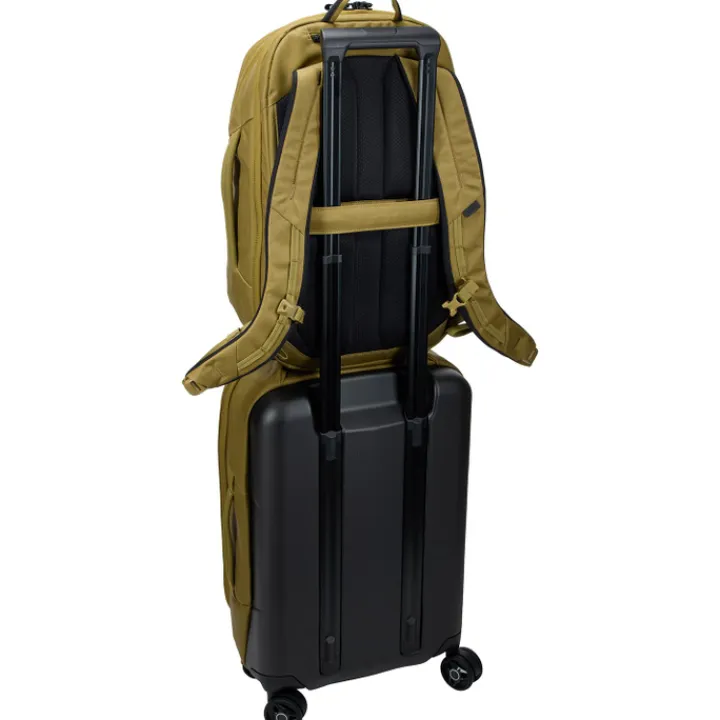 Dames Rugzakken|Schoolrugzak>Thule Aion Travel Backpack 28L nutria